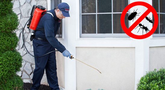 Uluborlu Fare İlaçlama böcek ilaçlama ve haşere kontrolü — ilaclama-tr.com